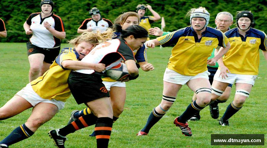 BB贝博登录入口挑战自我，成就非凡